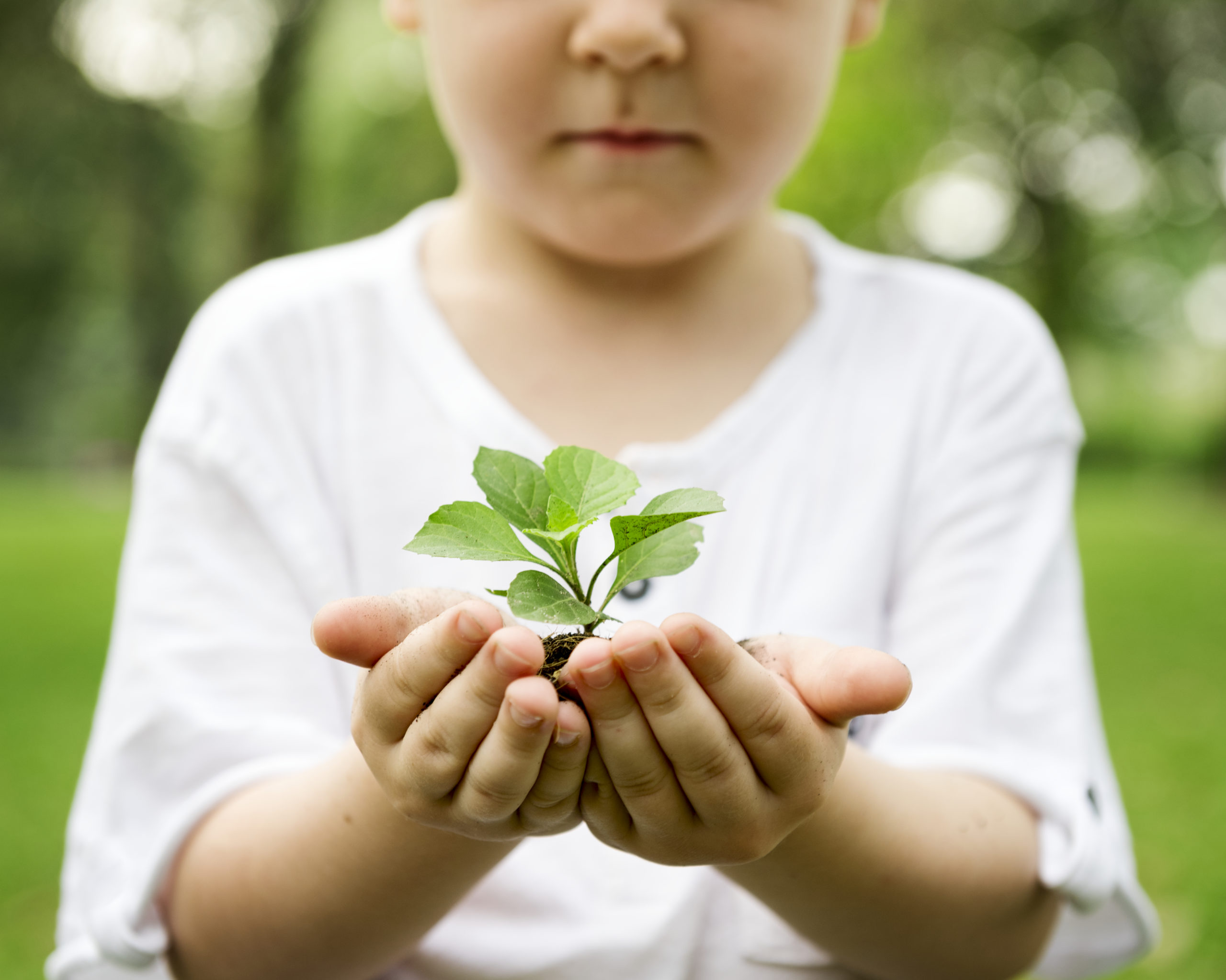 Экологическое воспитание результат. Экологическое воспитание. Дети и природа. Детям об экологии. Забота о природе.